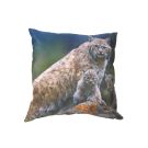 Zierkissen Luchse